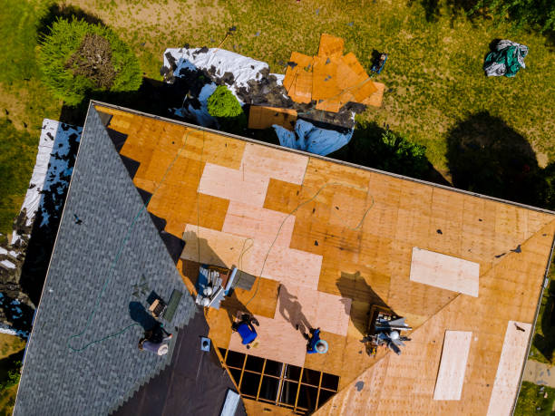 Best Roofing Contractor Near Me  in Jesup, GA