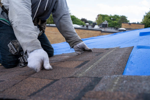Best Roof Gutter Cleaning  in Jesup, GA