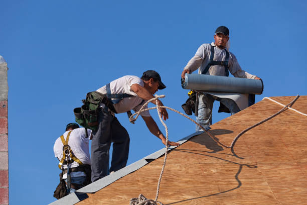 Best Roofing Contractor Near Me  in Jesup, GA