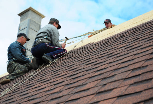 Best Roof Leak Repair  in Jesup, GA